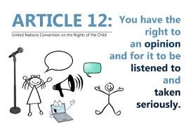article 12